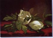 unknow artist Still life floral, all kinds of reality flowers oil painting 29 China oil painting reproduction